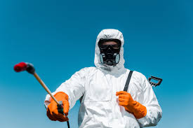 Lawn Pest Control in Lily Lake, IL